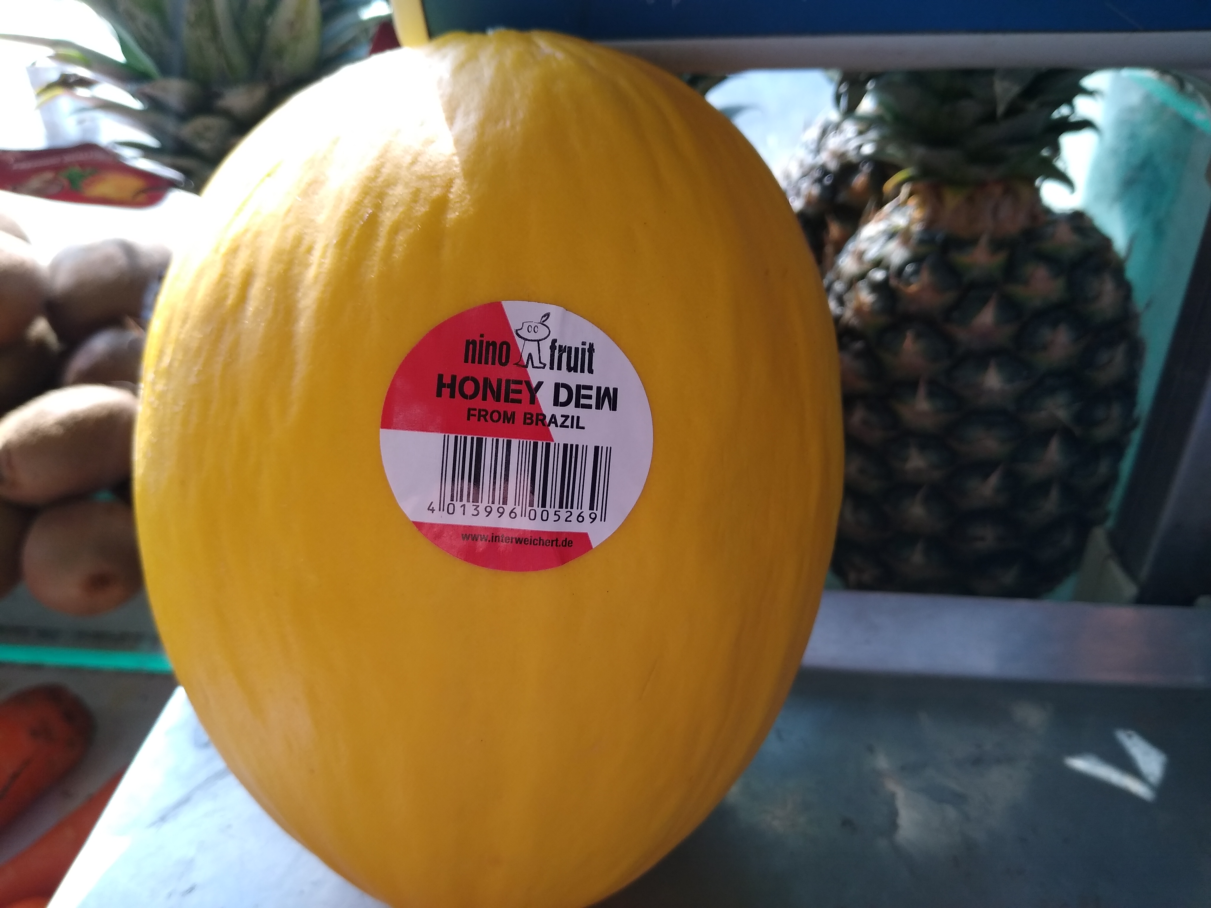 Melon amarillo 